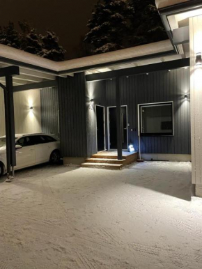Helmetär in Rovaniemi